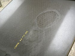 �G�|�L�V �J�[�{�� 8_1